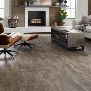 Paramount vinyl flooring | Carefree Carpets & Floors
