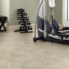 Gym flooring | Carefree Carpets & Floors