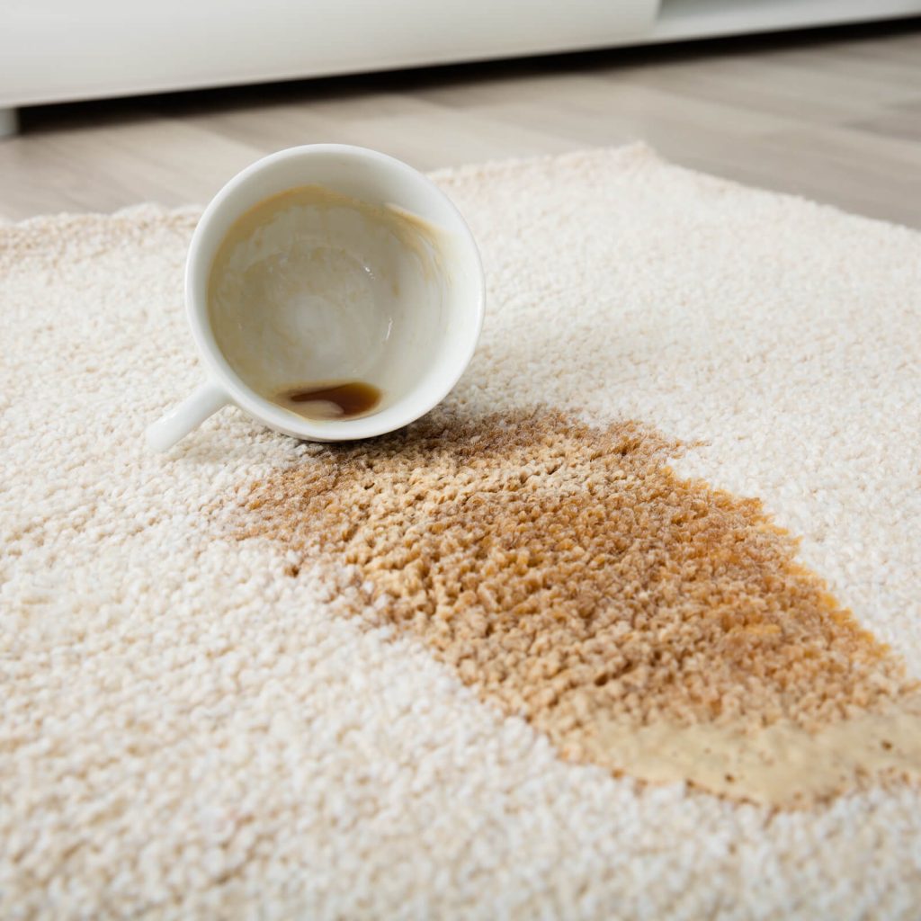 Professional Rug Cleaning | Carefree Carpets & Floors